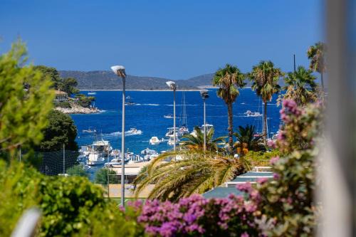 Krizna luka Apartment | Kumquat Apartment - ZF Hvar