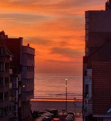 De Panne Apartment | Kunstenaarslaan De Panne