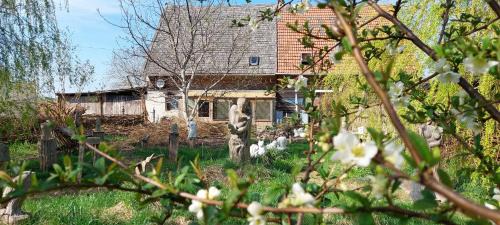 Usedom Hotel | Kunstwerk Usedom & Fahrradherberge