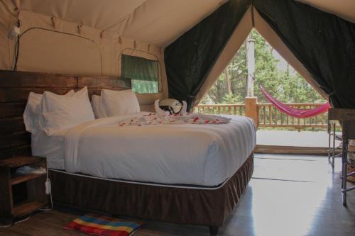 Addis Ababa Resort | Kuriftu Entoto Adventure Park
