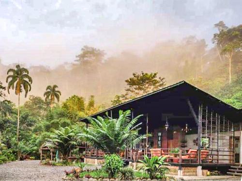 Ecuadorian Amazon Cabin | Kuyana Amazon Lodge