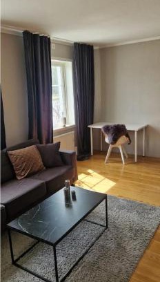 Norrkoping Apartment | Lägenhet i smedby