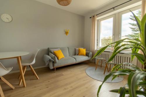 Waldshut-Tiengen Apartment | Löwe Apartment Gelb Tiengen Altstadt