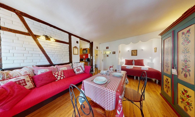 Colmar Centre Ville Apartment | l appartement turenne with access to lounge