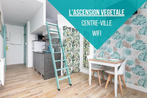 Saint-Marc Apartment | L'Ascension Végétale