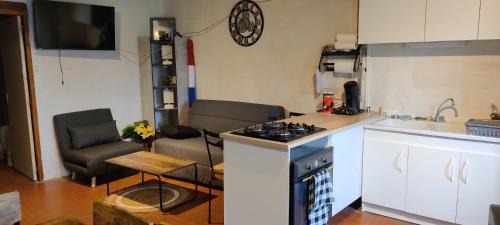 Guipy House | L'hirondelle