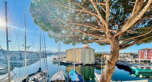 Port Grimaud Apartment | L'OCTOGONE