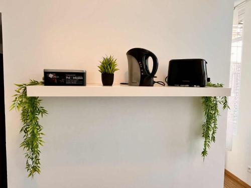 Quartier Saint-Clement - Jardin des Plantes Apartment | L'Orée du Jardin T3 parking