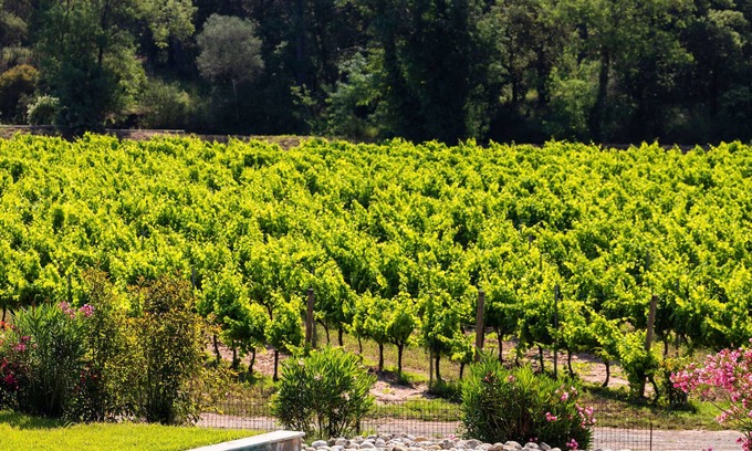 Frejus Hotel | La Bastide du Clos des Roses