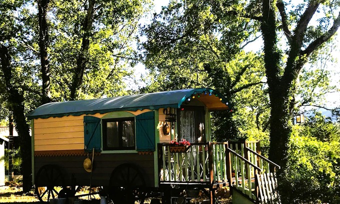 Saint-Paul-en-Foret Villa | LA BRINDILLE Charming gypsy caravan, in the forest, all comforts 2/3 p Swimming pool