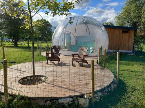 Herry Other | La Bulle des alpagas