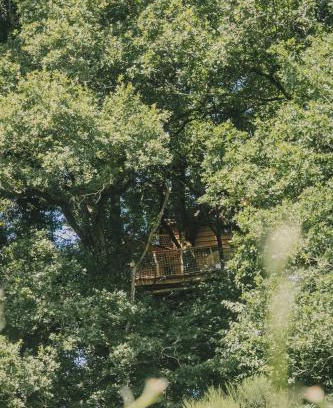 Coudures Other | La Cabanoun, cabane perchée vue lac