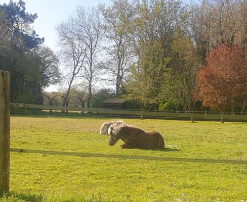 Saint-Gervais House | La campagne proche de l Océan