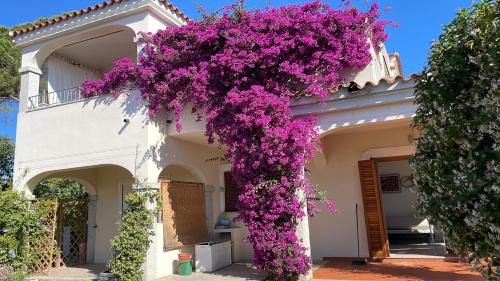 San Teodoro City Centre House | La casa dei Tati