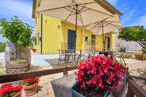 Tollo Bed & Breakfast | la Casa del Vino - B&B