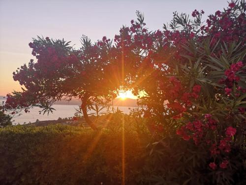 Capoliveri House | La casa sul tramonto - Capoliveri - services included