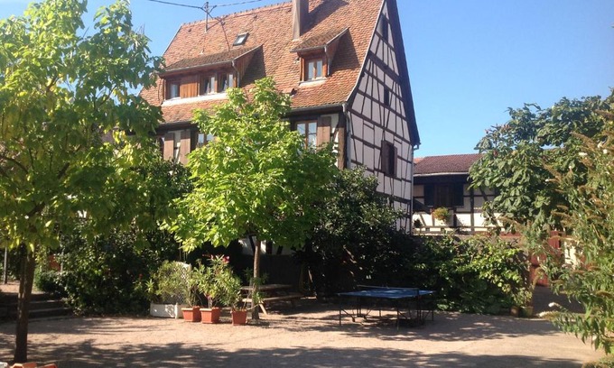Dambach-la-Ville Apartment | La Cour Zaepffel