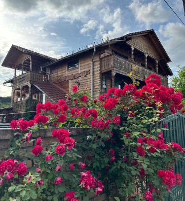 Lapus Apartment | La Curtea Veche