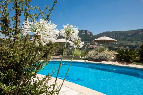 Cassis Bed & Breakfast | La Demeure Insoupçonnée