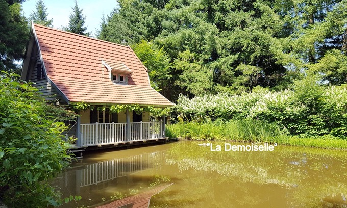 Strueth Ski Chalet | "La Demoiselle" Oct/Nov wonderful colours in the park-X'Mas deco-3 days possible