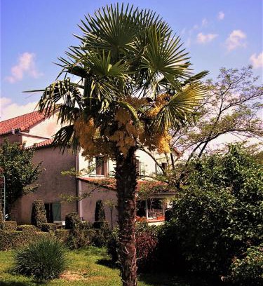 Berganty Bed & Breakfast | LA FERME JARLAN