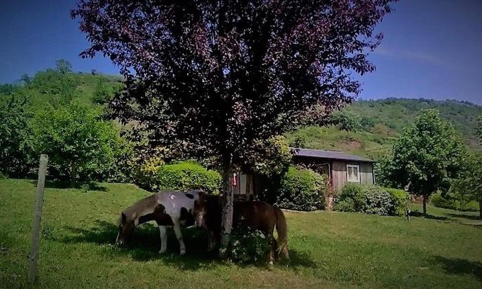 Clairvaux-d'Aveyron Other | la Frégière Chalets