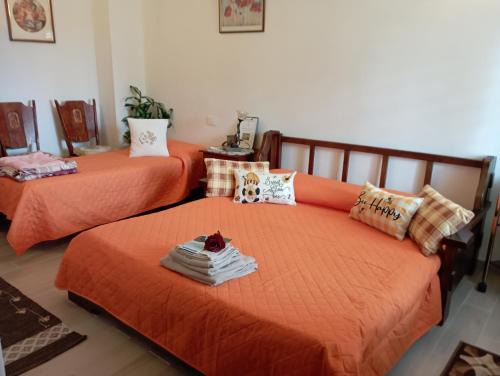 Pimentel House | La Ghirielle