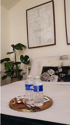 Poitiers Apartment | La Green Room