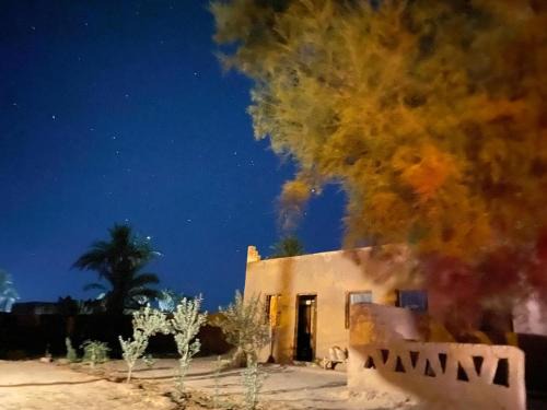 M'Hamid El Ghizlane Bed & Breakfast | La Maison-Berbère Mhamid