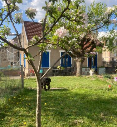 Accolay House | La maison colorée