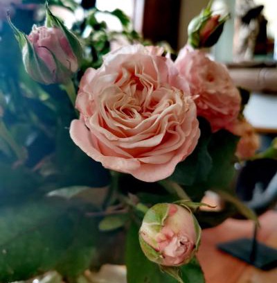 Les Veneurs Bed & Breakfast | La Maison de Ville