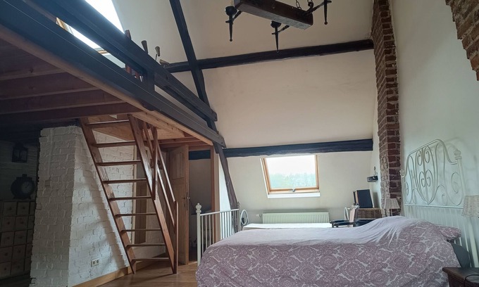 Kortenberg House | La maison des chiens