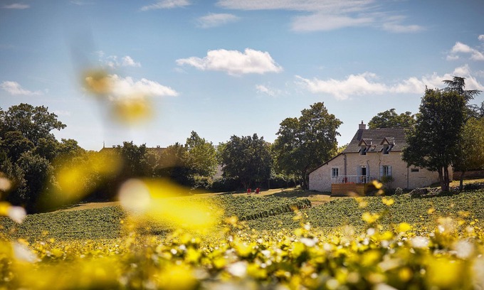 Mercurey House | La Maison du Clos du Roi, stay in the heart of Burgundy's vineyards
