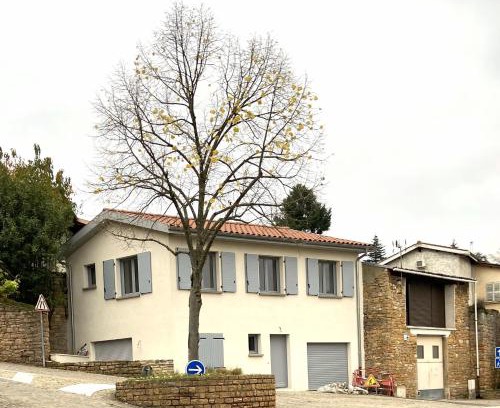 Curis-au-Mont-d'Or House | La Maisonnette de Curis