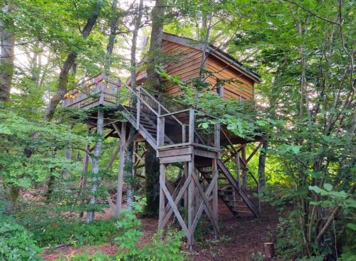 Raon-aux-Bois Ski Chalet | La Pat' de l'ours