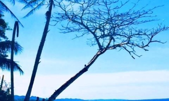 Cocles Bed & Breakfast | La Paz del Caribe