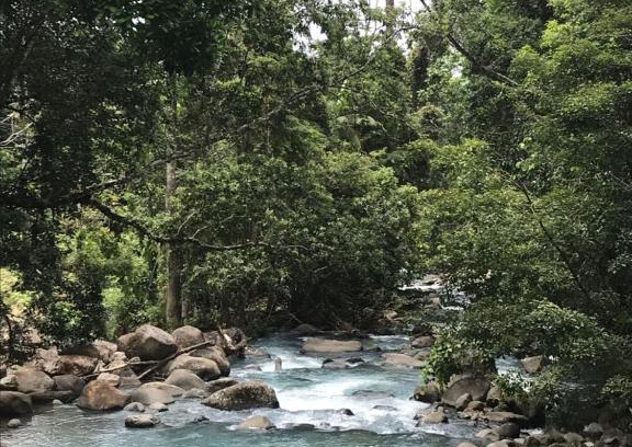 Katira Apartment | La Piña, Rio Celeste