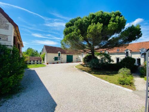 Oisly Bed & Breakfast | La Pillebourdiere