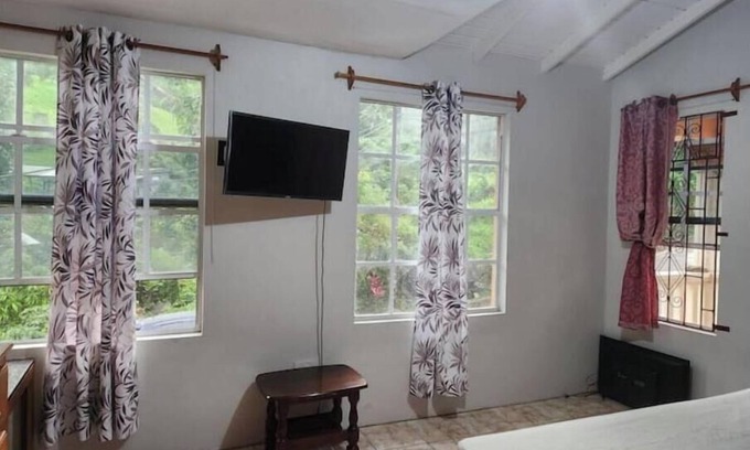 Kingstown Apartment | La Reve Royale: A Nature Escape