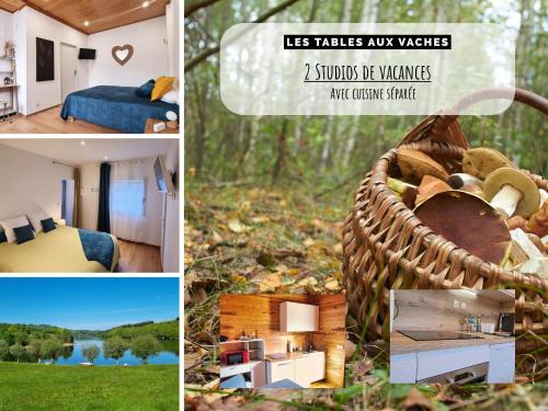 La Salvetat-sur-Agout House | La Salvetat - Studios équipés - Les Tables Aux Vaches