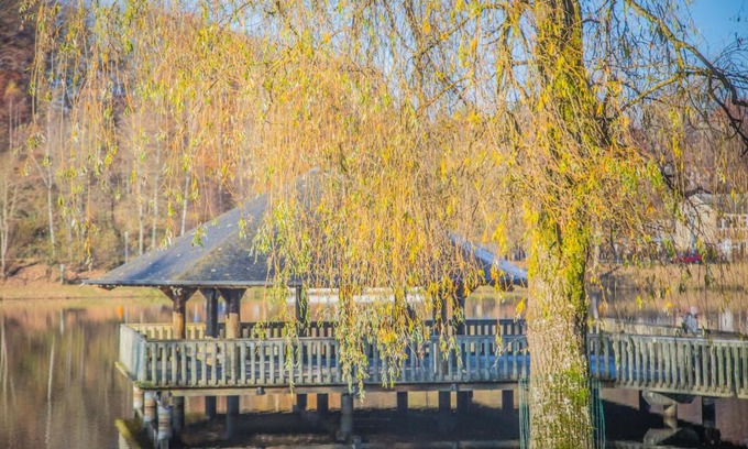Vielsalm Apartment | La Terrasse du Lac