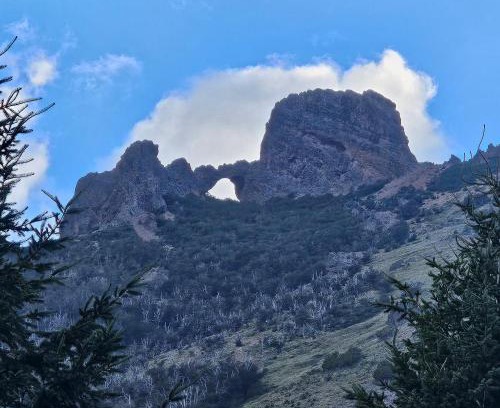 Meliquina Ski Chalet | La Torre del Rio