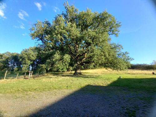 Pindray House | La Tuilerie