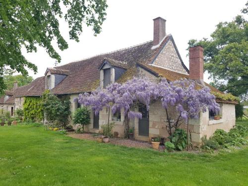 Seigy House | la vigneraie