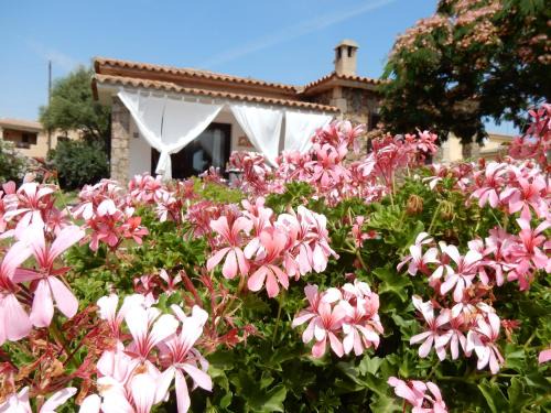 San Teodoro Bed & Breakfast | La Villetta