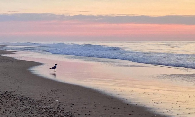 Bethany Beach Condo | Labor Day Weekend Special Sea Colony Oceanfront Penthouse 3 BR 2.5 BA sleeps 8