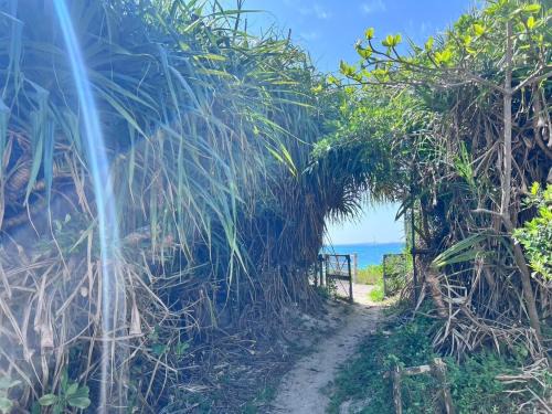 Kin House | LAGUNA OKINAWA Beachfront - Vacation STAY 30548v