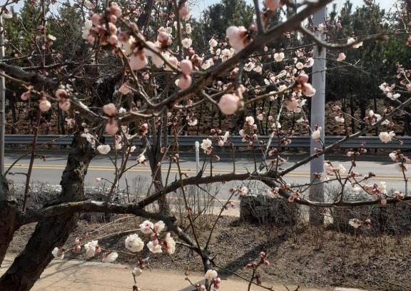 Chuncheon House | Lahoja Pension