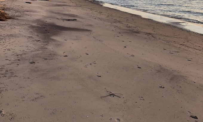Stevensville Cottage | Lake Lovers Delight!