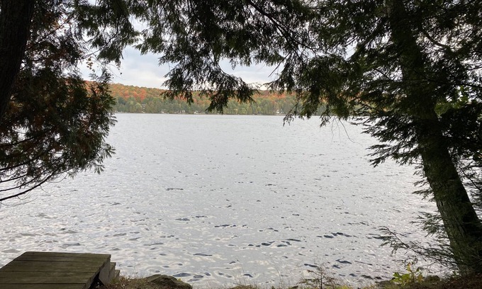 Crandon House | Lake Lucerne Family Getaway, private setting close to town